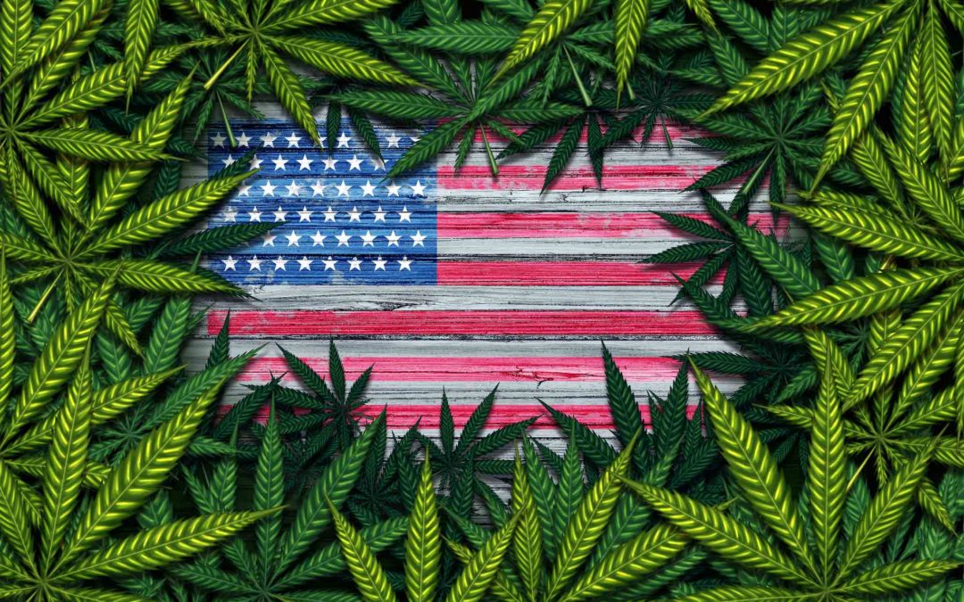 Several States Could Legalize Marijuana