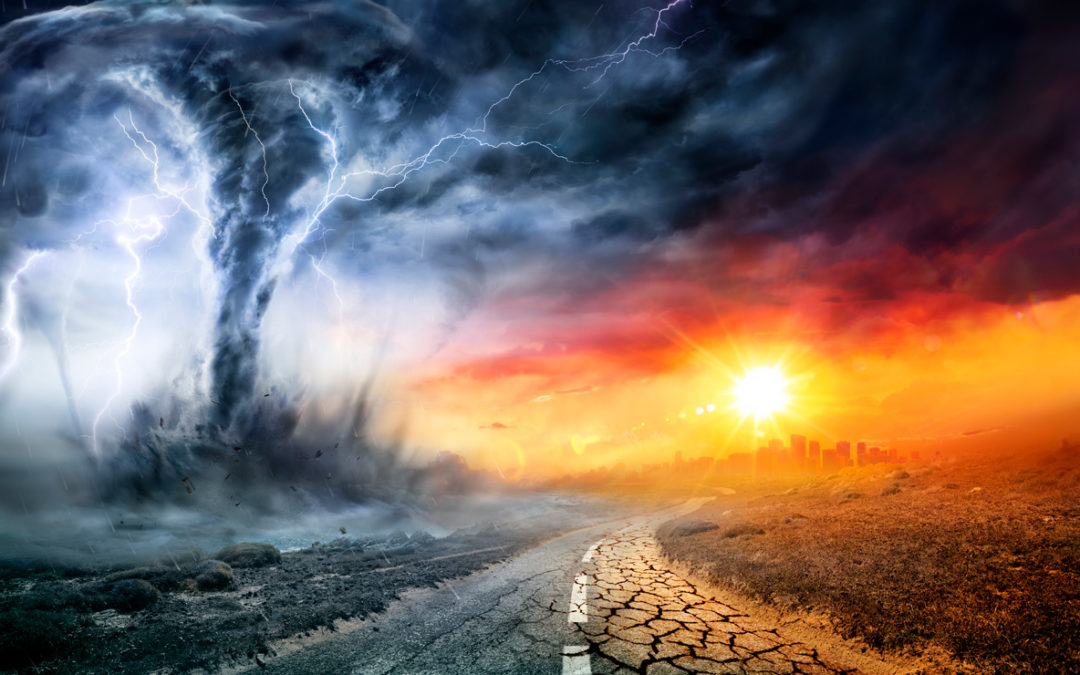 2022: The Wild Year of Natural Catastrophes