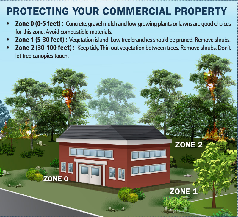 Creating a Defensible Space for Your Business